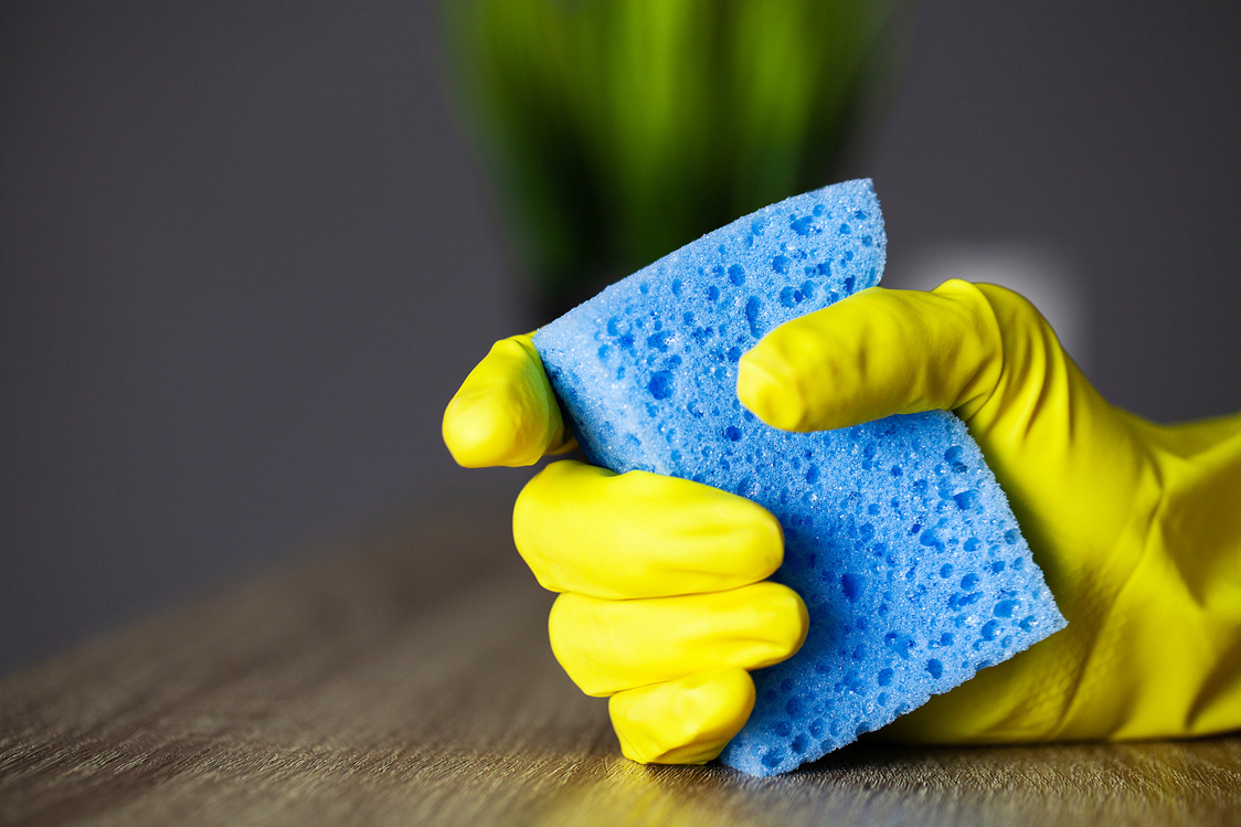 Close Up cleaning company worker hand holding sponge